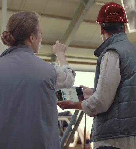 supply chain management