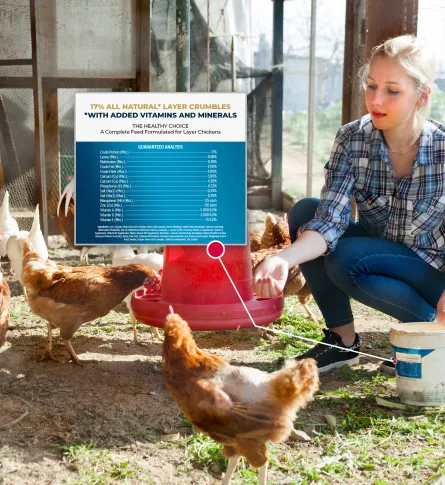 Compliancy in feed production