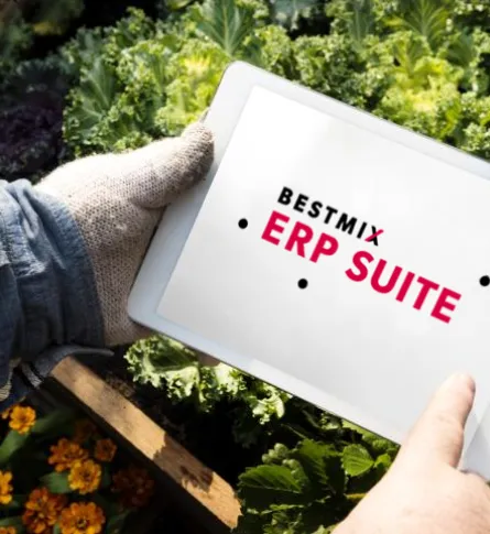 optimizing risk management