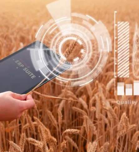 quality based pricing