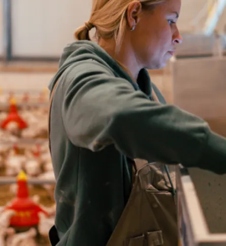 animal cycle management