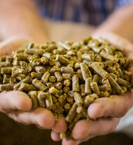  Name bestmix feed and ration