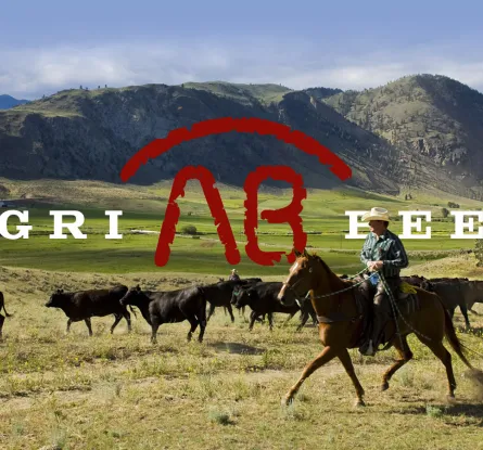 agri_beef_cover_foto