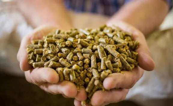  Name bestmix feed and ration