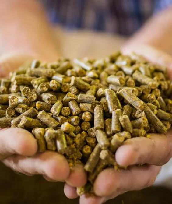  Name bestmix feed and ration