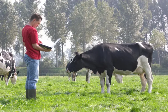 livestock image