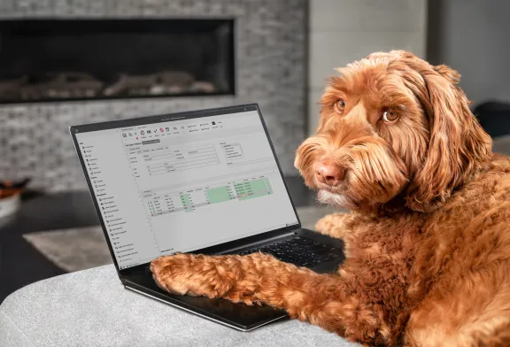 Navigating pet food quality