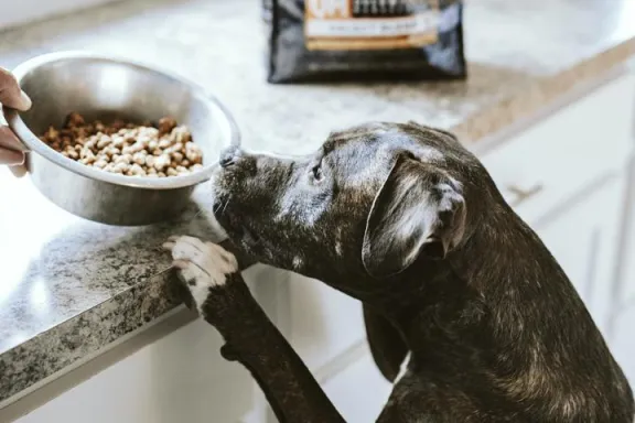 Pet Food How to manage portions and be flexible in formulating