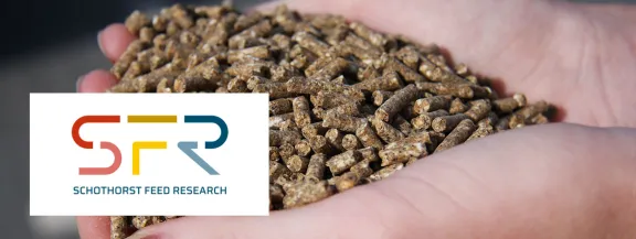 Schothorst Feed Research image