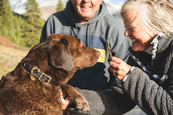 dog getting a treat