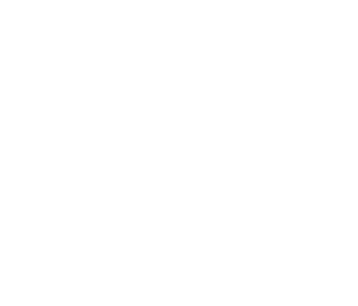 embracing optimization