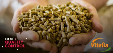  BESTMIX QC VITELIA