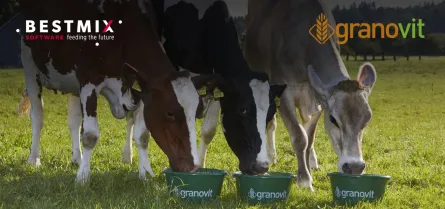 granovit_bestmix