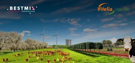 vitelia_bestmix